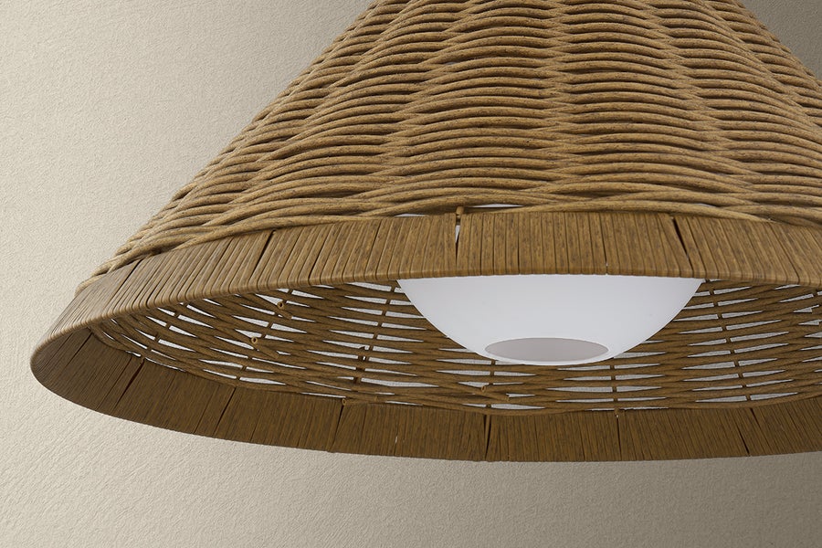 Troy Lighting Devlin Pendant — F3328-BRZ