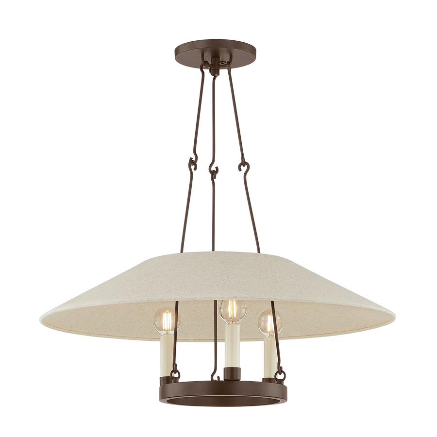 Troy Lighting ARCHIVE Pendant — F1625-BRZ