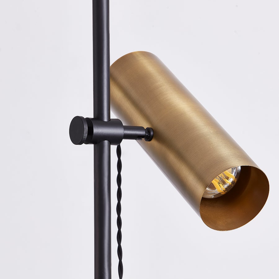 Troy Lighting Quinn Floor Lamp — PFL9665-PBR/SBK