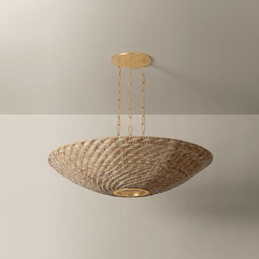 Troy Lighting OLLIE PENDANT — F1540-VGL