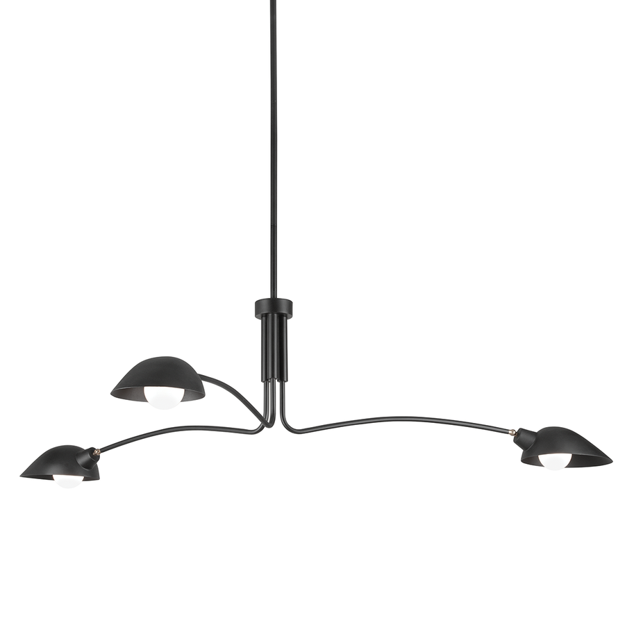 Troy Lighting Leo Chandelier — F7813-SBK