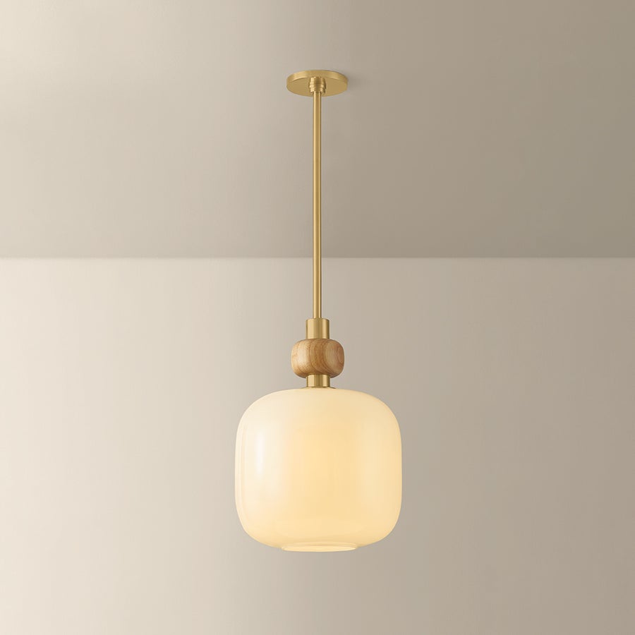 Mitzi Elise Pendant — H1149701S-AGB
