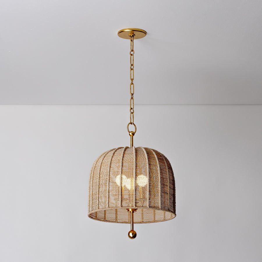 Troy Lighting Lonnie Pendant — F1615-VGL