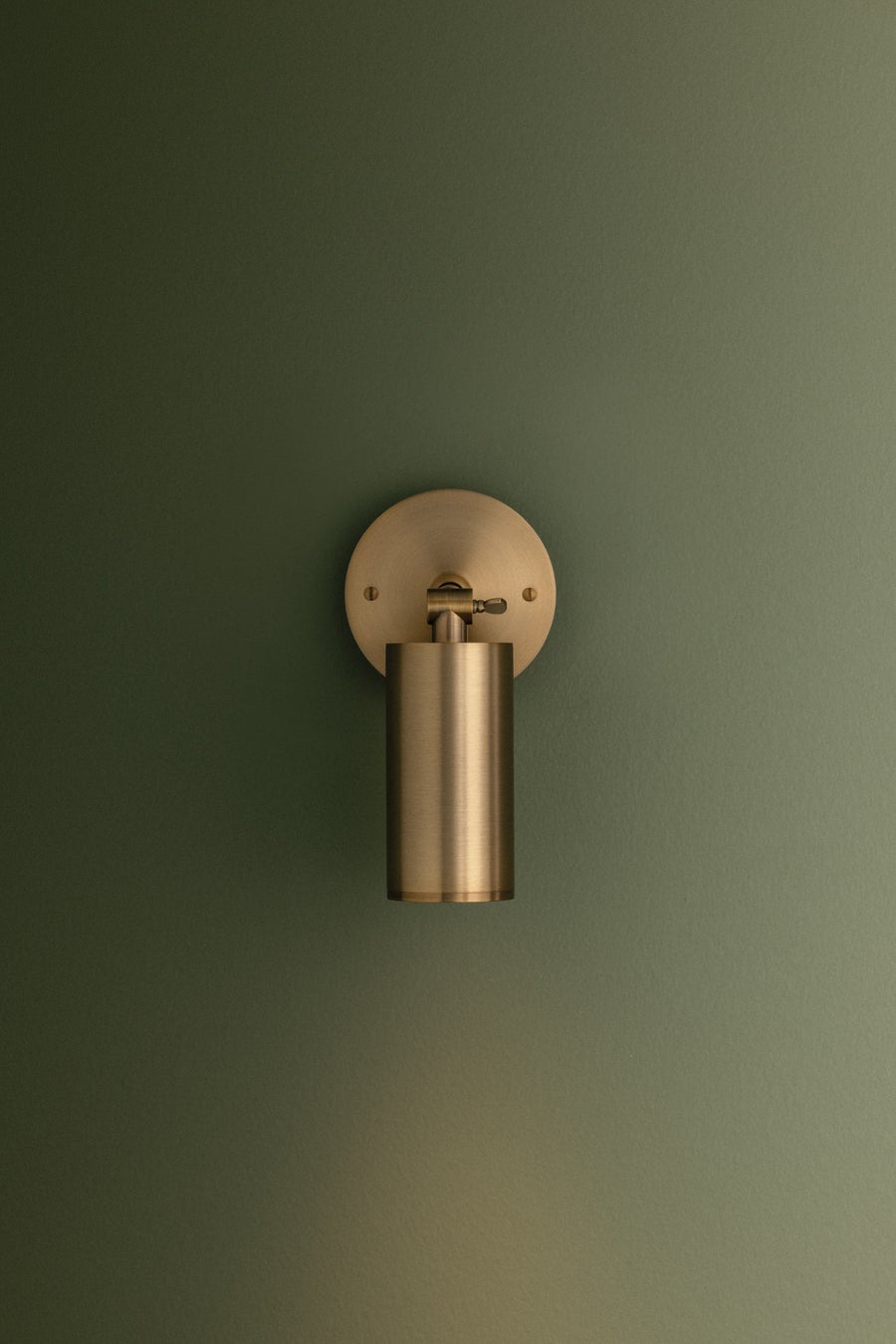 Troy Lighting Caleb Wall Sconce — B1309-PBR/BRZ
