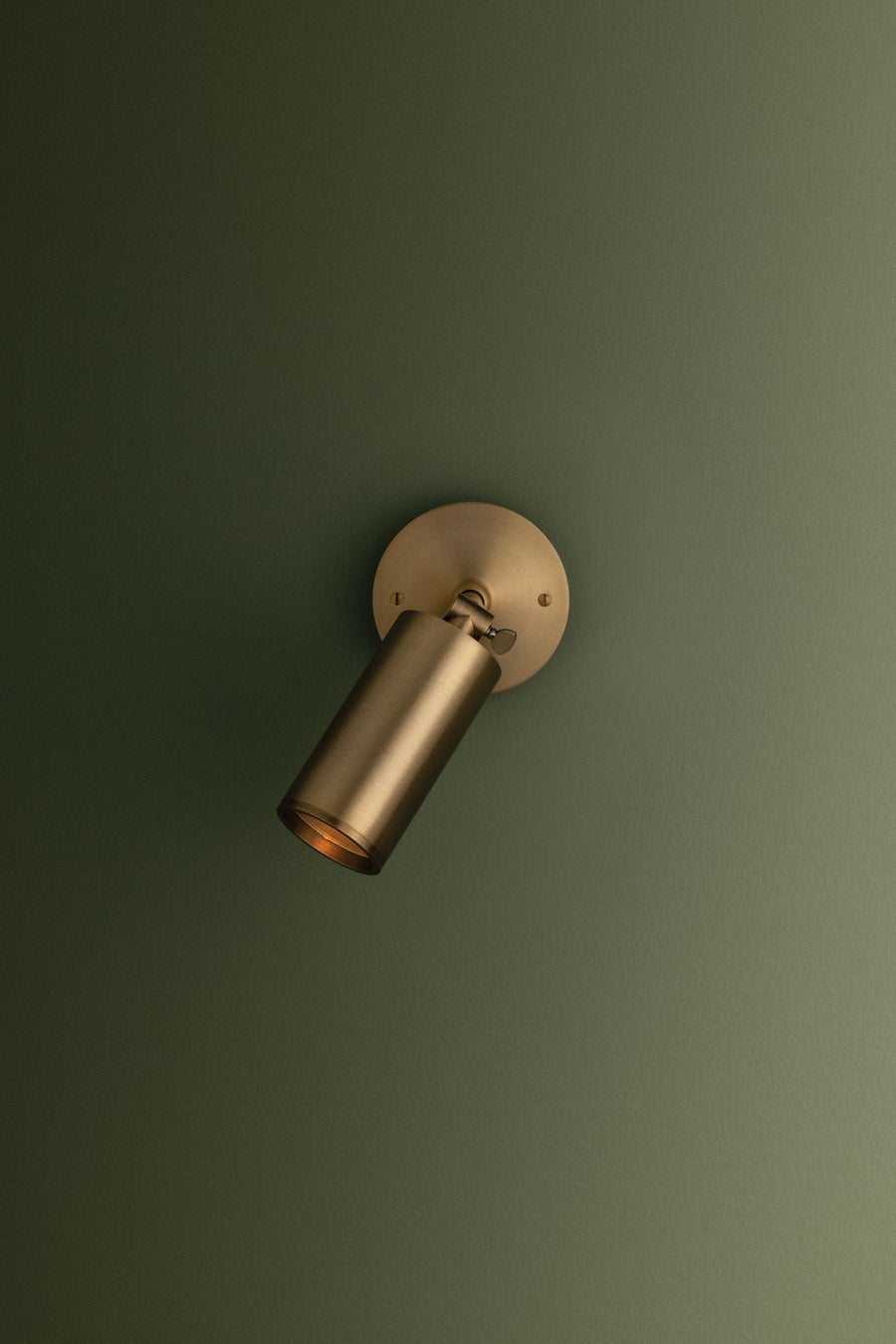 Troy Lighting Caleb Wall Sconce — B1309-PBR/BRZ