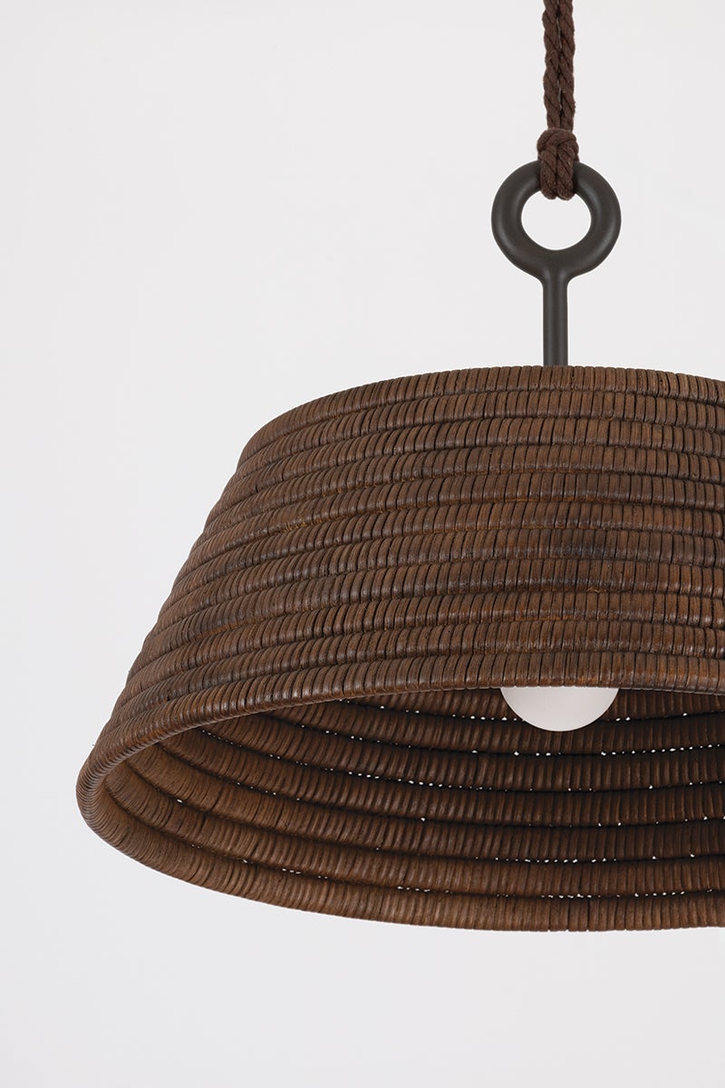 Troy Lighting SEQUOIA Pendant — F2824-TBZH
