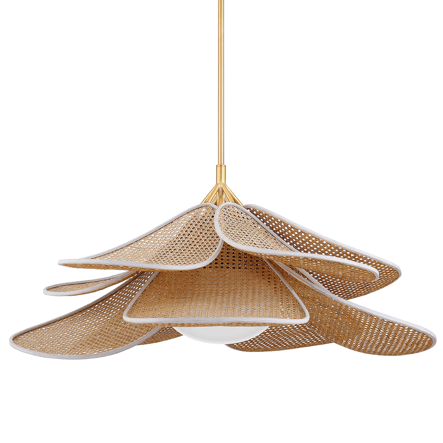 Hudson Valley Lighting Florina Pendant — Aged Brass