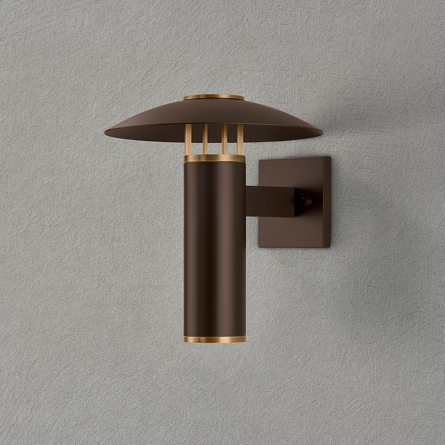 Troy Lighting Birk Exterior Wall Sconce — B7912-PBR/BRZ