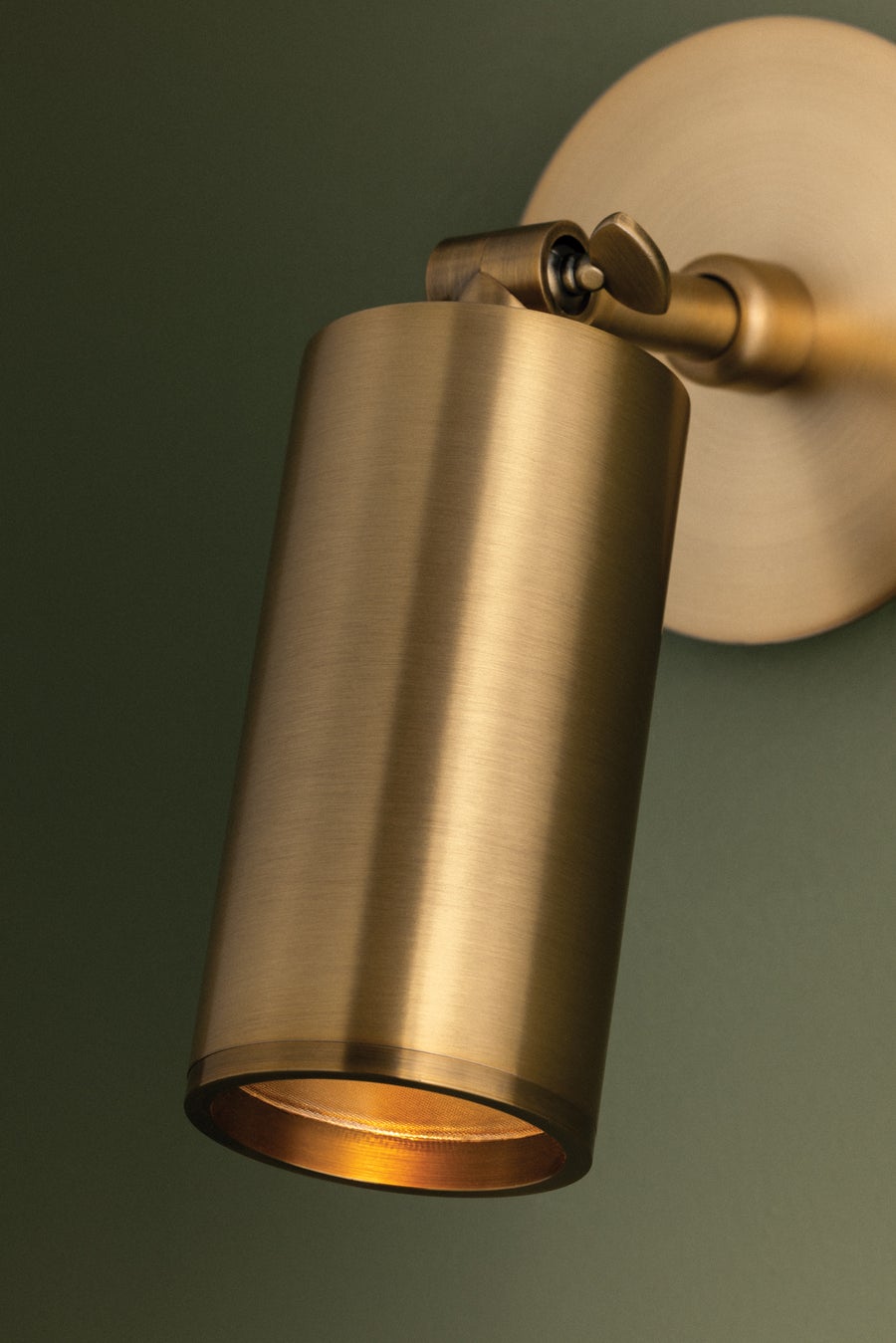 Troy Lighting Caleb Wall Sconce — B1309-PBR/BRZ