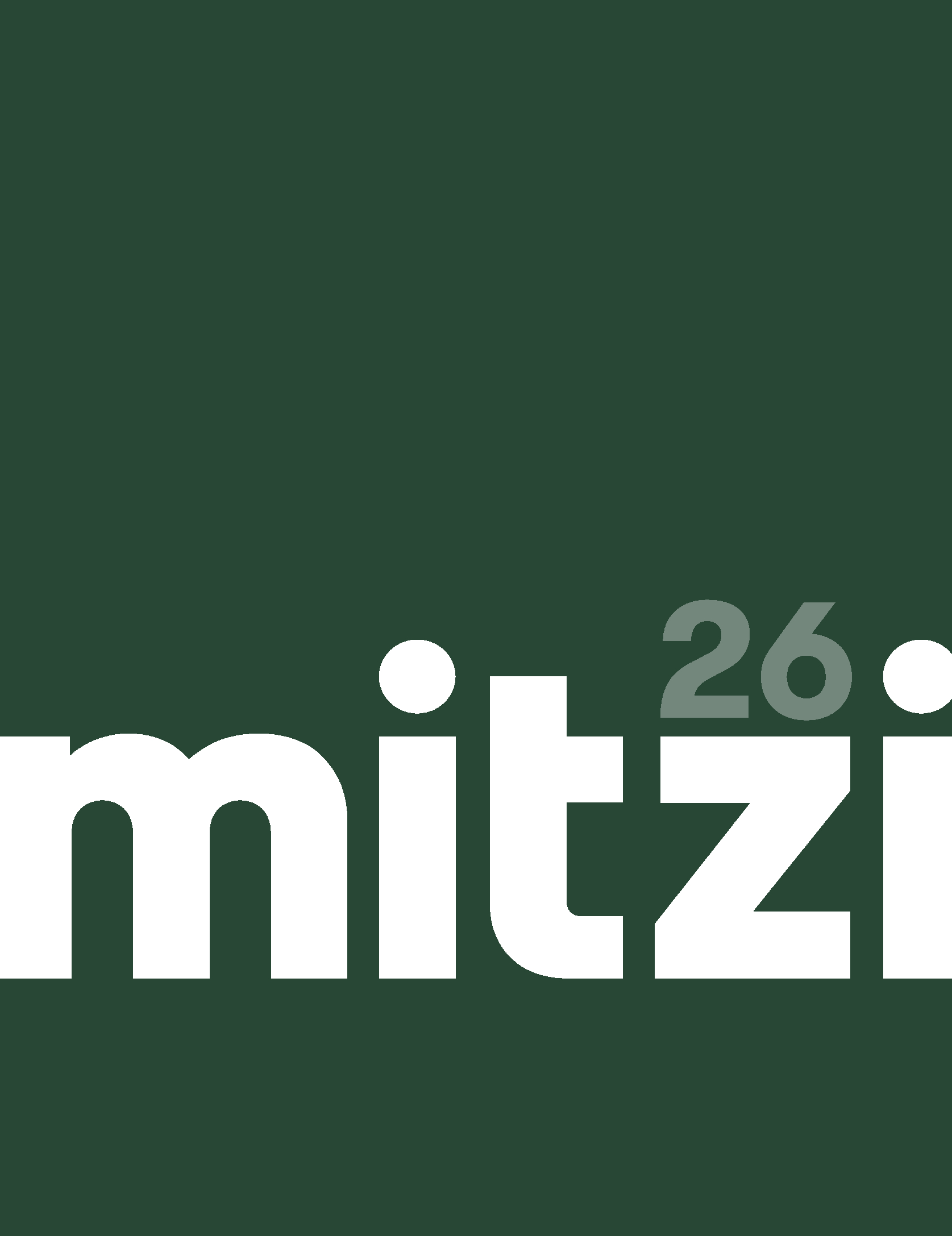 Mitzi 2026 Mitzi Master Catalog